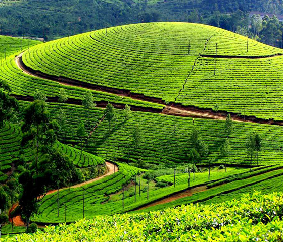 Munnar